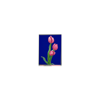Giá tốt. C055SWF4 R0 LCD Module 5,5 inch TFT LCD trực tuyến