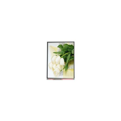 Giá tốt. Bảng điều khiển màn hình LCD 5,5 inch C055SWY2 R0 trực tuyến