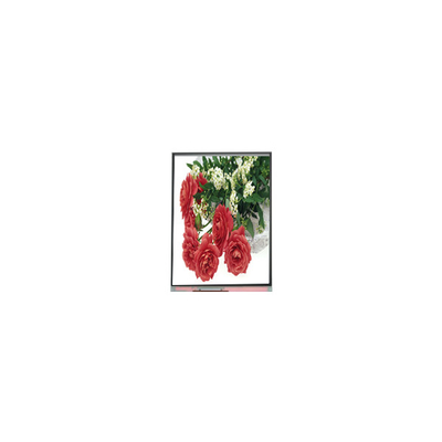 Giá tốt. 5.5 inch C055SWY2-1 màn hình hiển thị LCD cho điện thoại di động trực tuyến