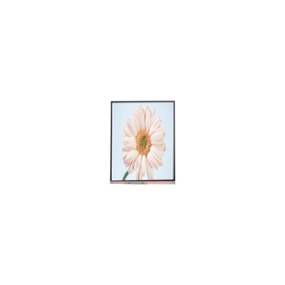 Giá tốt. Mẫu màn hình LCD mới 720*1280 C050HWA5-1 5,0 inch trực tuyến