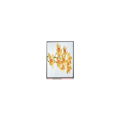Giá tốt. C060SWY2-1 6.0 inch 480 * 854 TFT màn hình hiển thị LCD trực tuyến
