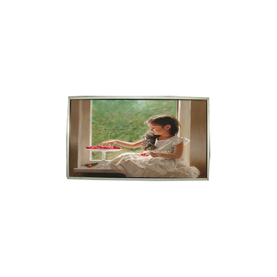 Giá tốt. 23.0 inch LTM230HT05-V 30 pin 1920 * 1080 màn hình LCD trực tuyến