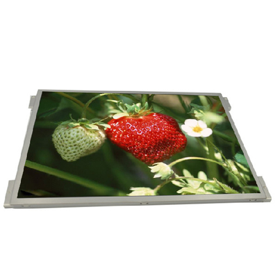 Giá tốt. G104XVN01.0 1024x768 Màn hình LCD IPS công nghiệp 10,4 inch trực tuyến