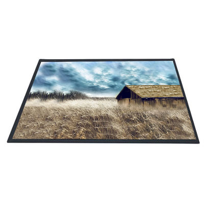 Giá tốt. AUO 10.1 inch B101XAN01.2 Màn hình LCD TFT 1366x768 trực tuyến